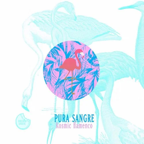 Pura Sangre - Kosmic Flamenco (Ordep Zerep Rmx)